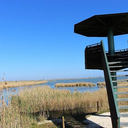 Quet - Casa Rural Con Piscina Privada En El Delta Del Ebro - Deltavacaciones Deltebre Eksteriør billede