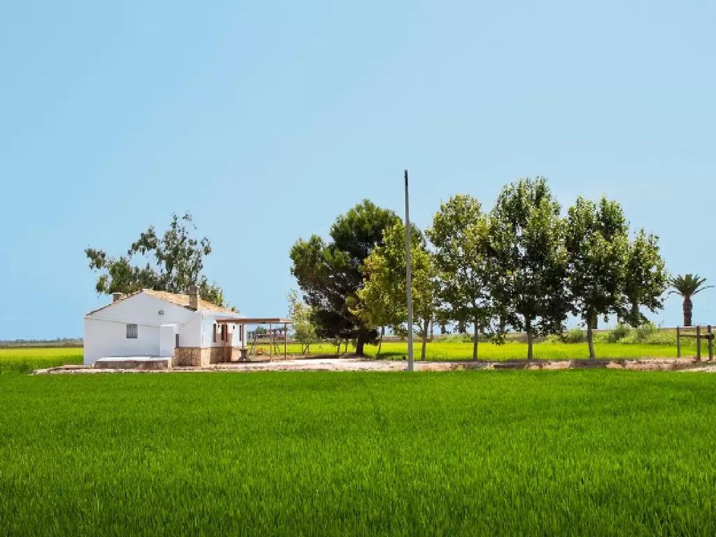 Quet - Casa Rural Con Piscina Privada En El Delta Del Ebro - Deltavacaciones Deltebre Eksteriør billede